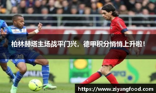 柏林赫塔主场战平门兴，德甲积分悄悄上升啦！