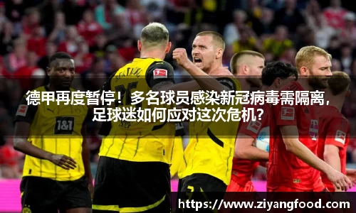 德甲再度暂停！多名球员感染新冠病毒需隔离，足球迷如何应对这次危机？